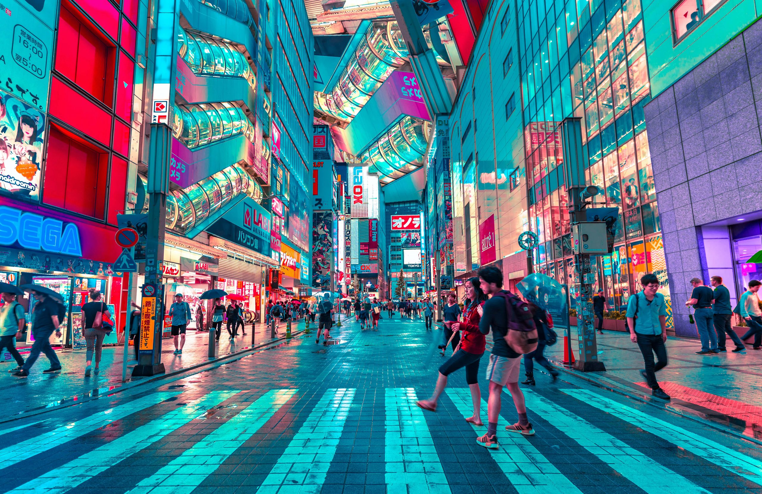 study in japan
